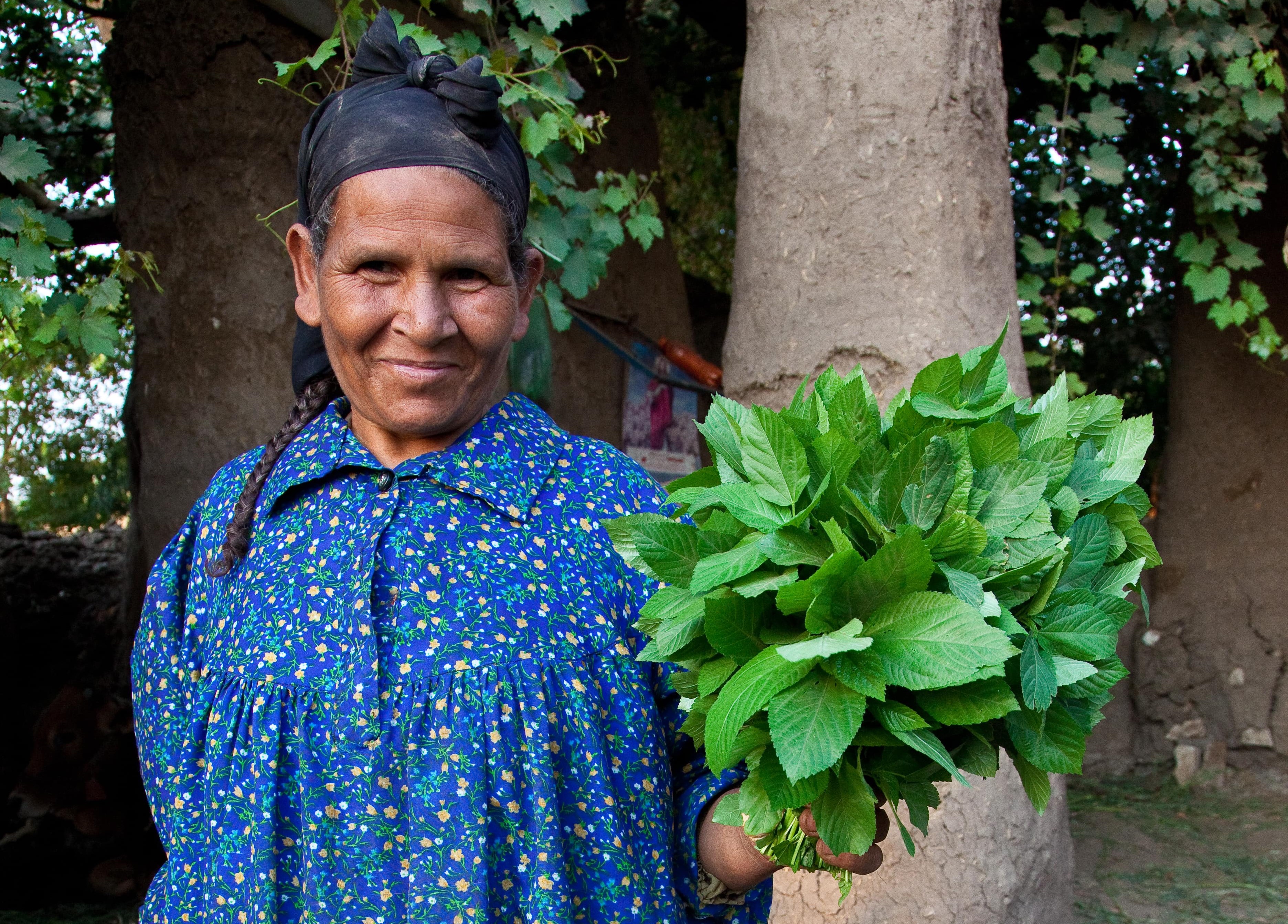 Baseeta: One Giant Step Towards Women’s Empowerment and Financial Inclusion